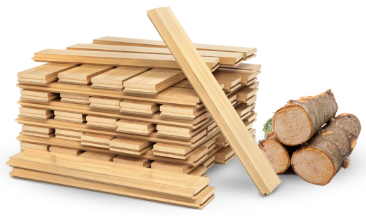 خطوط الانتاج ( المنجرة وفرع سنيريا الجديد )